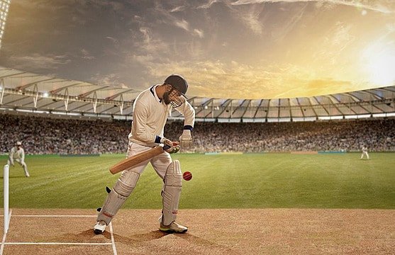 Cricket Highlights